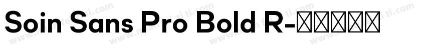 Soin Sans Pro Bold R字体转换